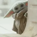 swifttuttle