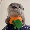 kellyfarmer