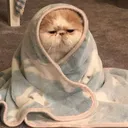 meoson