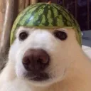 suprrrbart