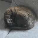 moinleude