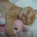 tiffanyexs