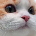 mikandan