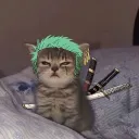 jcastropum