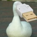 usb_duck23