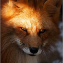 skyriou#6957's avatar