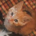 mimiquiet