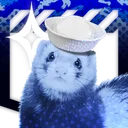 ferretlounge
