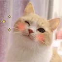 astrocat1938
