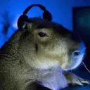 capybara5591