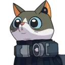 catmoco