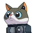 catmoco
