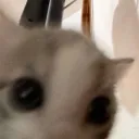 jennnemy