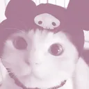 buzzgutz