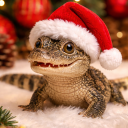 avatar ¯\_(ツ)_/¯