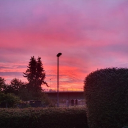 avatar NoThankYouImFine