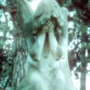 sidrus._astreaa
