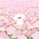 avatar ᨓ 。SATURN  🐾