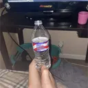froggie_6