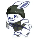 plgoen
