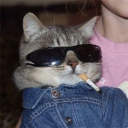 eltontm
