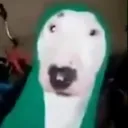 ryniix_