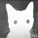 sr_ryuzin
