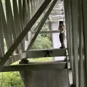 ozzzie
