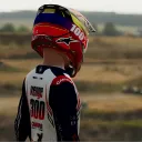 venge.mxb