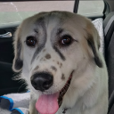 dr.hookyman619#5723's avatar