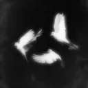 kirei.xo avatar