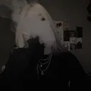 ilsxyzy