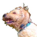 voltsuchan