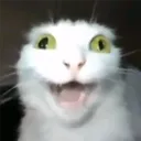 ijaben
