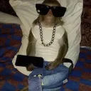monkeypapi