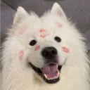 kissmetolife