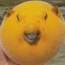 Аватар wabbycrabbytsu