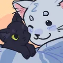 kosvycat