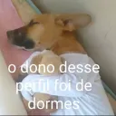 stevee3
