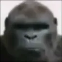 ameixaseca_