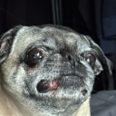 View zakary58's Profile