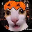 fiouz_mc
