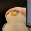 de_sousa