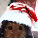 avatar Котейка