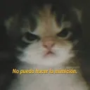 feer8885 avatar