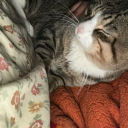 avatar through the lies