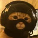 zarbinxy