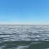 thescarfr