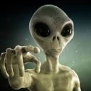 andregio2#0332's avatar