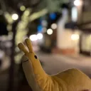 rakukokun01